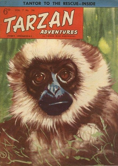 Tarzan Adventures #24 (1953)