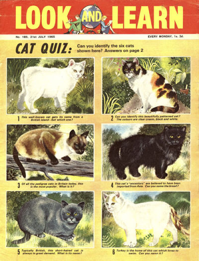 Look and Learn #185 (1962)