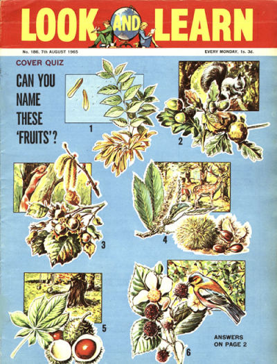 Look and Learn #186 (1962)