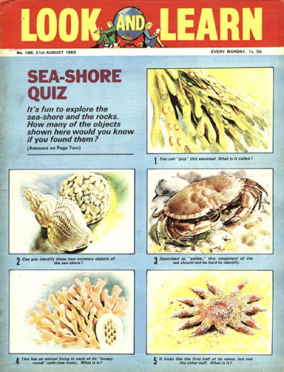 Look and Learn #188 (1962)