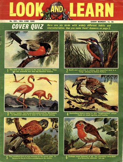 Look and Learn #231 (1962)