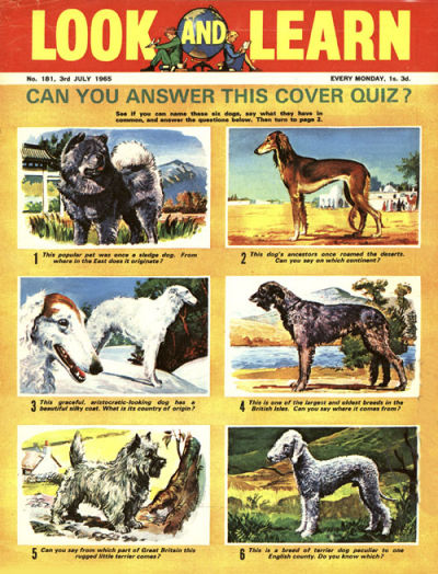 Look and Learn #181 (1962)