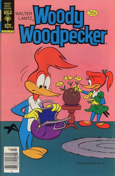 Walter Lantz Woody Woodpecker #176 (1979)