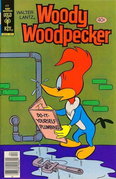 Walter Lantz Woody Woodpecker #177 (1979)