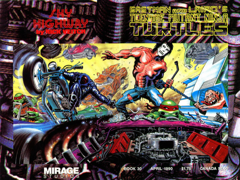 Teenage Mutant Ninja Turtles #30 (1990)