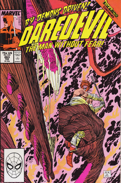 Daredevil #263 (1989)