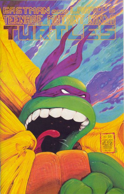 Teenage Mutant Ninja Turtles #22 (1989)
