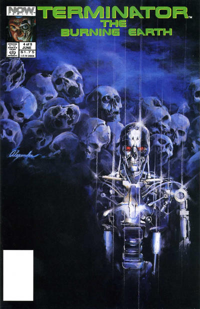 The Terminator: The Burning Earth #4 (1990)