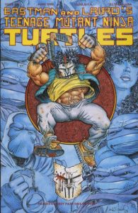 Teenage Mutant Ninja Turtles #48 (1992)