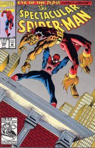 The Spectacular Spider-Man #193 (1992)