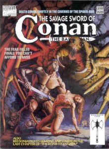 The Savage Sword of Conan #210 (1993)