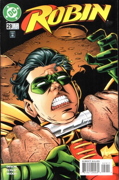 Robin #29 (1996)