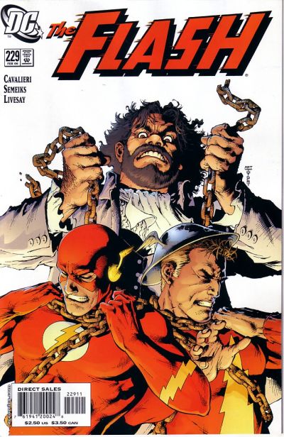 The Flash #229 (2005)