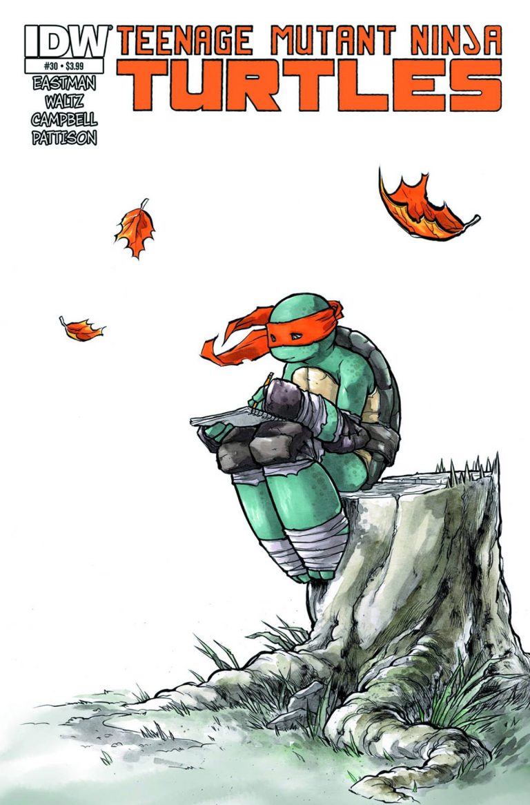 Teenage Mutant Ninja Turtles #30 (2014)