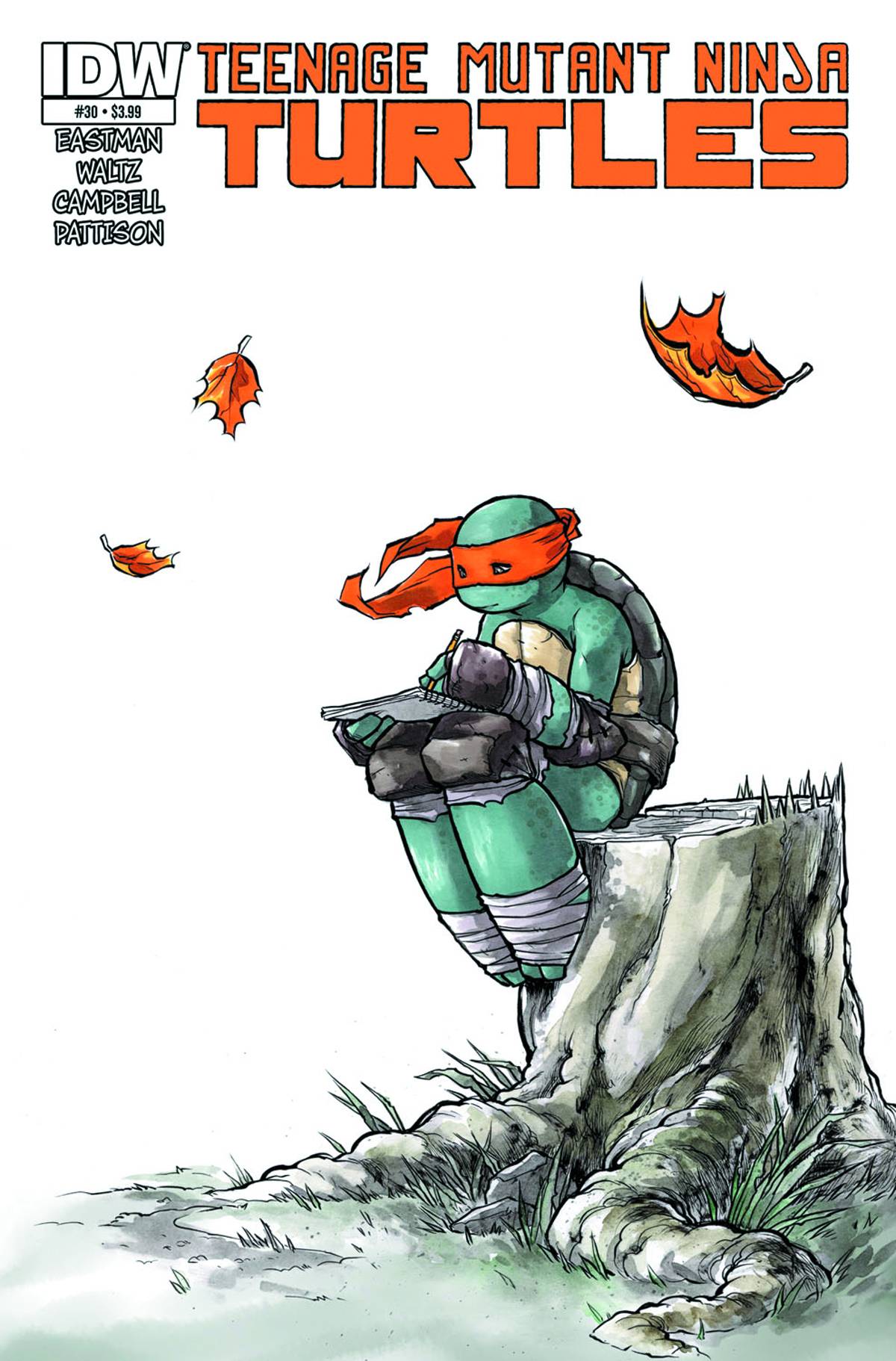 Teenage Mutant Ninja Turtles #30 (2014)