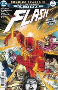 The Flash #25 (2017)