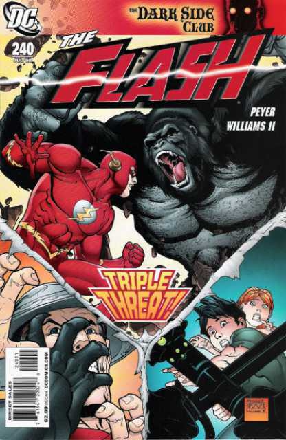 The Flash #240 (2008)