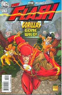 The Flash #242 (2008)