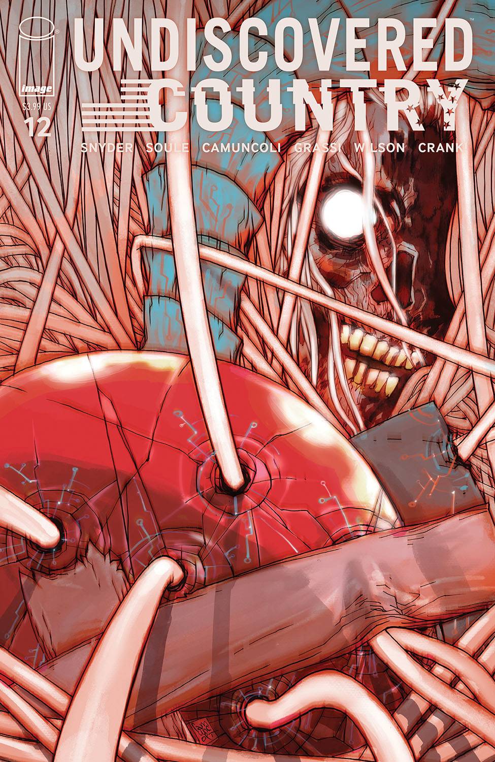 Undiscovered Country #12 (2021)