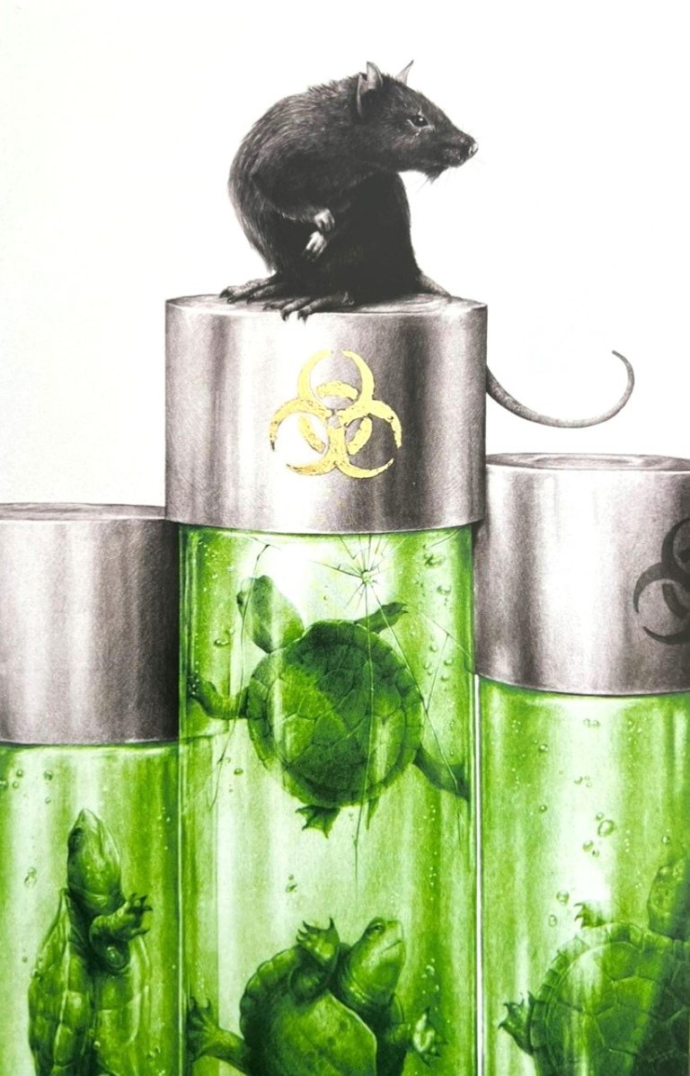 Teenage Mutant Ninja Turtles #1 (2024)