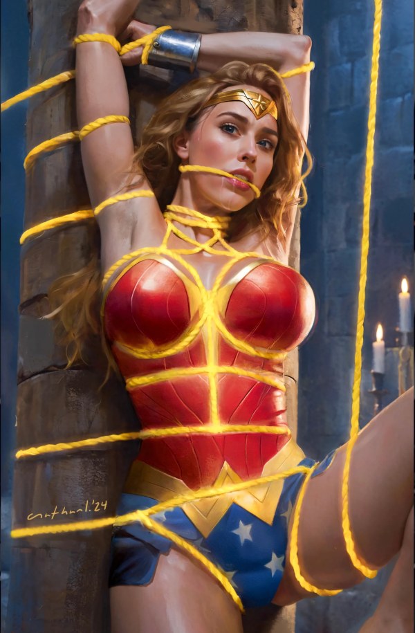 Waifu Chronicles #1 (2024)